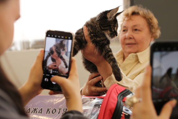 &Mcy;&iecy;&zhcy;&dcy;&ucy;&ncy;&acy;&rcy;&ocy;&dcy;&ncy;&acy;&yacy; &vcy;&ycy;&scy;&tcy;&acy;&vcy;&kcy;&acy; &kcy;&ocy;&shcy;&iecy;&kcy;