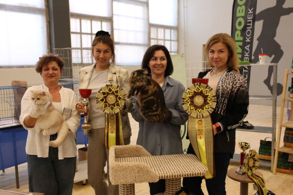 &Mcy;&iecy;&zhcy;&dcy;&ucy;&ncy;&acy;&rcy;&ocy;&dcy;&ncy;&acy;&yacy; &vcy;&ycy;&scy;&tcy;&acy;&vcy;&kcy;&acy; &kcy;&ocy;&shcy;&iecy;&kcy;