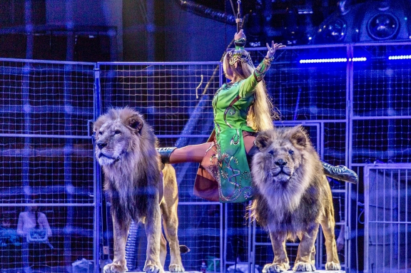 Цирк "Граф Орлов" г. Бийск