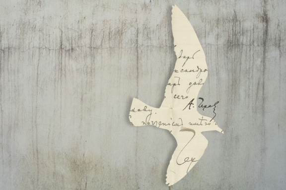 &CHcy;&acy;&jcy;&kcy;&acy;