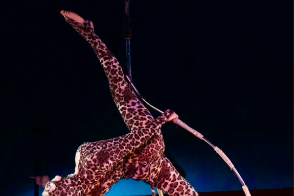 Цирк "Граф Орлов" г. Бийск