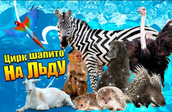 &TScy;&icy;&rcy;&kcy; &ncy;&acy; &lcy;&softcy;&dcy;&ucy;