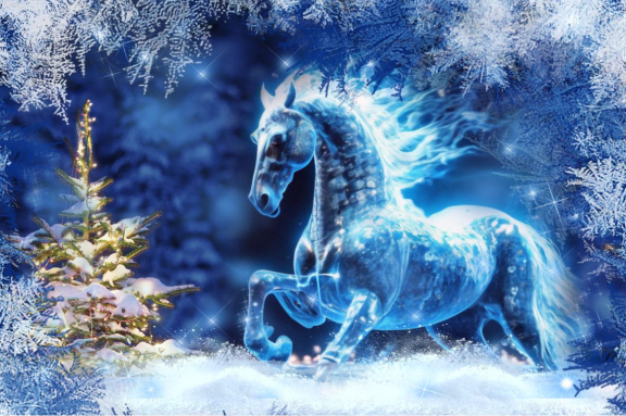 "Встретим вместе Новый год!"