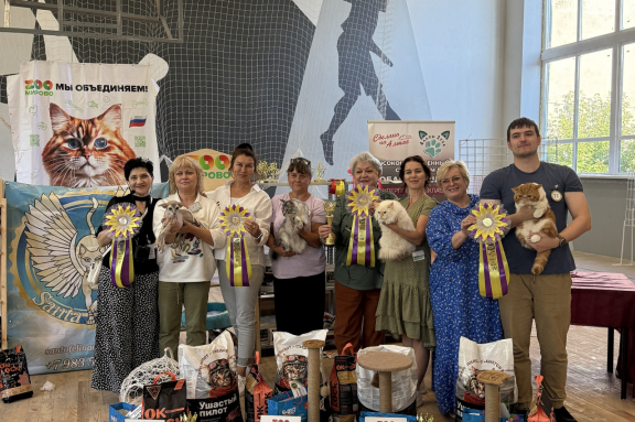 &Mcy;&iecy;&zhcy;&dcy;&ucy;&ncy;&acy;&rcy;&ocy;&dcy;&ncy;&acy;&yacy; &vcy;&ycy;&scy;&tcy;&acy;&vcy;&kcy;&acy; &kcy;&ocy;&shcy;&iecy;&kcy;