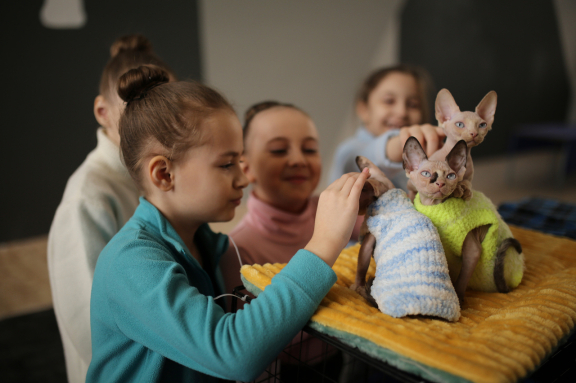 &Mcy;&iecy;&zhcy;&dcy;&ucy;&ncy;&acy;&rcy;&ocy;&dcy;&ncy;&acy;&yacy; &vcy;&ycy;&scy;&tcy;&acy;&vcy;&kcy;&acy; &kcy;&ocy;&shcy;&iecy;&kcy;