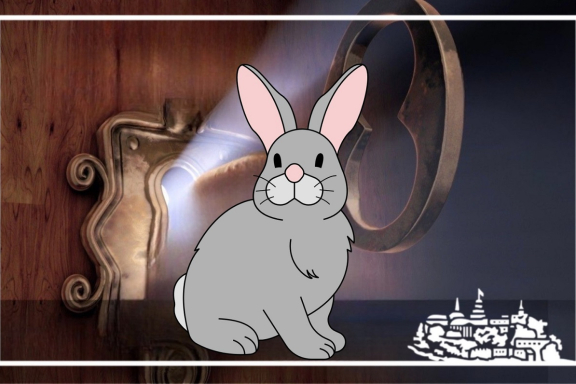 &SHcy;&ocy;&ucy; &fcy;&ocy;&kcy;&ucy;&scy;&ocy;&vcy; &laquo;&Acy;&bcy;&rcy;&acy;&kcy;&acy;&dcy;&acy;&bcy;&rcy;&acy;&raquo;