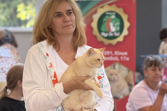 &Mcy;&iecy;&zhcy;&dcy;&ucy;&ncy;&acy;&rcy;&ocy;&dcy;&ncy;&acy;&yacy; &vcy;&ycy;&scy;&tcy;&acy;&vcy;&kcy;&acy; &kcy;&ocy;&shcy;&iecy;&kcy;