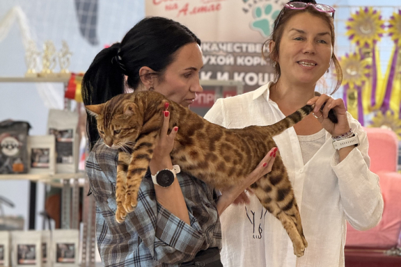 &Mcy;&iecy;&zhcy;&dcy;&ucy;&ncy;&acy;&rcy;&ocy;&dcy;&ncy;&acy;&yacy; &vcy;&ycy;&scy;&tcy;&acy;&vcy;&kcy;&acy; &kcy;&ocy;&shcy;&iecy;&kcy;