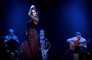 Шоу Ромео и Джульетта в стиле фламенко(Flamenco Live)