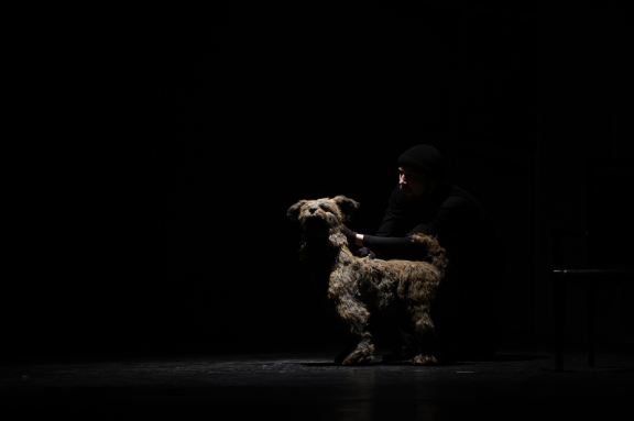 Собачье сердце г. Барнаул